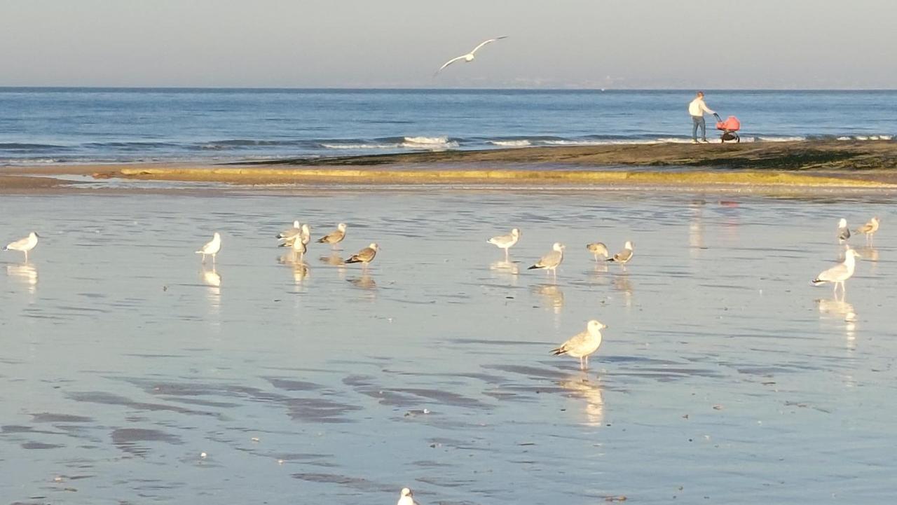 Les 3 Mouettes A Cabourg - Cote Normande Apartment Bagian luar foto